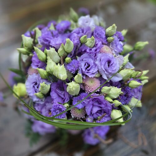 Tulpentaart